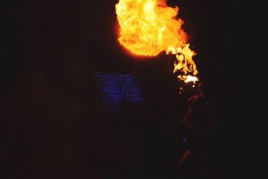 15994719 1833147026923531 4406486007924697747 o